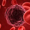 Kansere karşı Kaspaz proteiniyle tedavi
