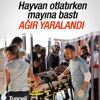 EURO 2016’da alkol yasağı