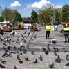 Trafik polisleri sokağa çıkma kısıtlamasında güvercinleri ...