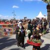 Ayvalık 2. Doğa Festivali ilçeyi rengarenk boyadı