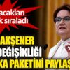 ﻿Meral Akşener, iklim değişikliği politika paketini paylaştı