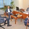 Yanan ormanlar küllerinden doğuyor Yanan ormanlar küllerinden doğuyor