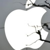 Apple Çin’de güneş santrali kuracak Apple Çin’de güneş santrali kuracak