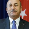 Dışişleri Bakanı Mevlüt Çavuşoğlu'ndan vize serbestisi açıklaması