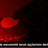 Sakarya da mevsimlik tarım işçilerinin darbedilmesi