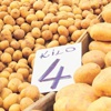 Patatesin kilosu 4 lirayı buldu Patatesin kilosu 4 lirayı buldu