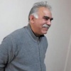 MİT dışında bir kurum daha İmralı'ya gidiyor