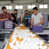 Koronavirüs yumurta tüketimini artırdı