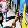 Fenerbahçe otobüsünde yapılan bomba araması futbolcuları isyan ettirdi