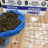 Köpek maması kutusundan uyuşturucu çıktı Köpek maması kutusundan uyuşturucu çıktı