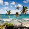 Barbados'tan turizme Covid-19 ayarı