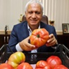Dev Domatesler Elde Kaldı
