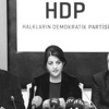 HDP heyeti çözüm sürecini böyle değerlendirdi!