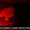 Sivas ta mor patates ve şeker pancarı hasadı yapıldı Sivas ta mor patates ve şeker pancarı hasadı yapıldı