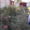 Uyuşturucu operasyonunda 2 şüpheli tutuklandı Uyuşturucu operasyonunda 2 şüpheli tutuklandı