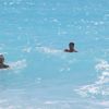 Fethiye Ölüdeniz'de sezon açıldı Fethiye Ölüdeniz'de sezon açıldı