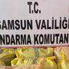Çalınan 700 kilogram fındık ele geçirildi Çalınan 700 kilogram fındık ele geçirildi