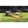 Ünlü aktör Harrison Ford uçak kazasında ağır yaralandı Ünlü aktör Harrison Ford uçak kazasında ağır yaralandı