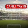 Beşiktaş - Tottenham
