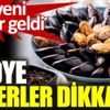 ﻿Midye severler dikkat. Yeni haber geldi