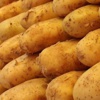 'Patates fiyatları düşüyor' 'Patates fiyatları düşüyor'