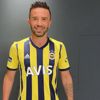 Gökhan Gönül Fenerbahçe'de