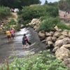 Sular çekilince soluğu orada aldılar Sular çekilince soluğu orada aldılar