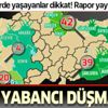 Bakanlık ıspanak paniğinin ardından rapor yayınladı! İşte Türkiye'deki yabancı otların bölge bölge sayısı