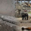 Kobani'deki patlamamış bomba ve roketlerdeki sır detay Kobani'deki patlamamış bomba ve roketlerdeki sır detay