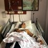 Motosikletle ayıya çarpan çift yaralandı Motosikletle ayıya çarpan çift yaralandı
