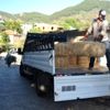 Saman fiyatları el yakıyor