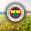 Fenerbahçe'den "kavga" açıklaması