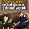 Yaşlı kadının ineğinin doğumunu jandarma yaptırdı Yaşlı kadının ineğinin doğumunu jandarma yaptırdı