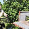 Rusya ve İtalya'nın limonu Muğla'dan Rusya ve İtalya'nın limonu Muğla'dan