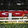 At yarışları başlıyor! Tarih açıklandı At yarışları başlıyor! Tarih açıklandı