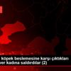 Mahallede köpek beslemesine karşı çıktıkları hayvansever ...