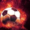 Son dakika: Beşiktaş'tan önemli karar! Takım sahaya indi Son dakika: Beşiktaş'tan önemli karar! Takım sahaya indi