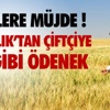 Bm İnsan Hakları Yüksek Komiseri Zeyd