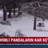 Karın tadını pandalar çıkardı