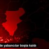 Göztepe de yabancılar boşta kaldı Göztepe de yabancılar boşta kaldı