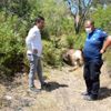 Bağlık alanda tosun ölüsü bulundu Bağlık alanda tosun ölüsü bulundu