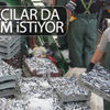 Balıkçılar şikayetçi: Biz de tanzim satış istiyoruz