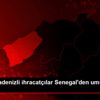 Doğu Karadenizli ihracatçılar Senegal den umutlu döndü Doğu Karadenizli ihracatçılar Senegal den umutlu döndü