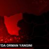 GİRESUN DA ORMAN YANGINI