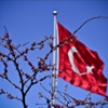 İstanbul'da erguvan zamanı İstanbul'da erguvan zamanı