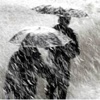 Meteoroloji'den flaş uyarı!