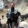 Bu koyunu alan zengin oluyor Bu koyunu alan zengin oluyor