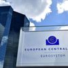 Avrupa Merkez Bankası faizleri sabit tuttu Avrupa Merkez Bankası faizleri sabit tuttu