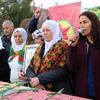 HDP'li vekile gözaltı