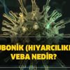 Bubonik (hıyarcılıklı) veba nedir? Kara ölüm hastalığının belirtileri nedir, tedavisi var mı? Bubonik (hıyarcılıklı) veba nedir? Kara ölüm hastalığının belirtileri nedir, tedavisi var mı?